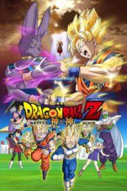 Dragon Ball Z 14: Bitwa Bogów